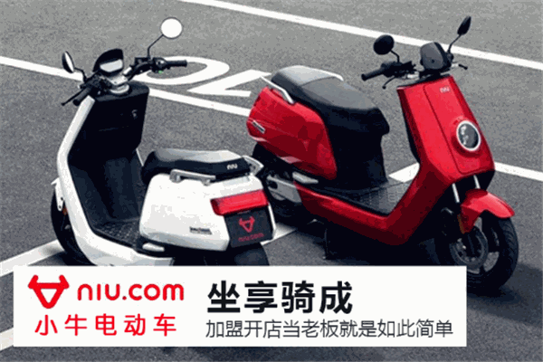 小牛电动车