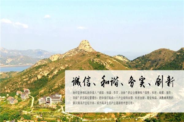 华信食品加盟