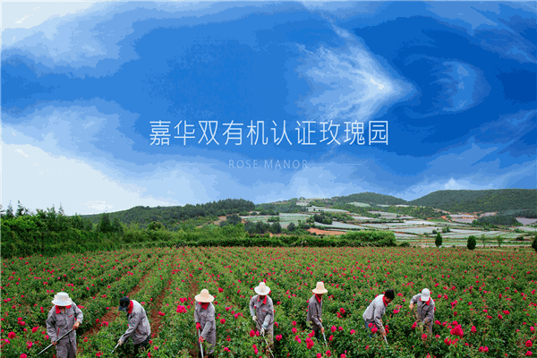 嘉华食品加盟