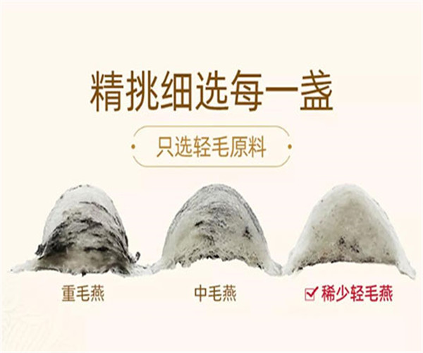 虞美人健康食品