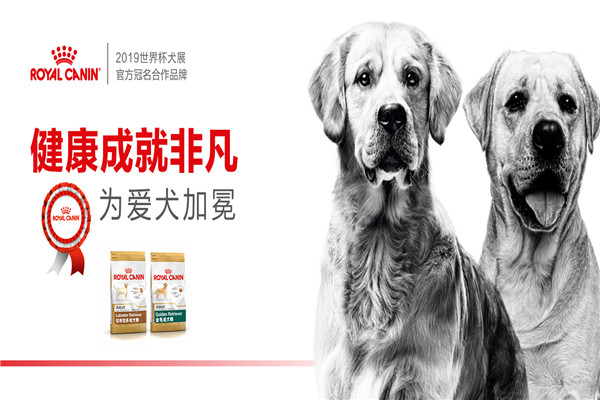 皇家宠物加盟