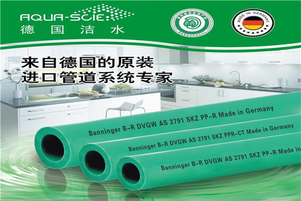德国洁水加盟