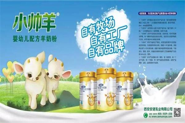 小帅羊羊奶粉加盟