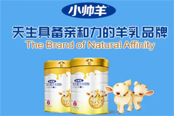 小帅羊羊奶粉加盟