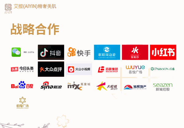 艾樱(AIYIN)精奢美肌加盟