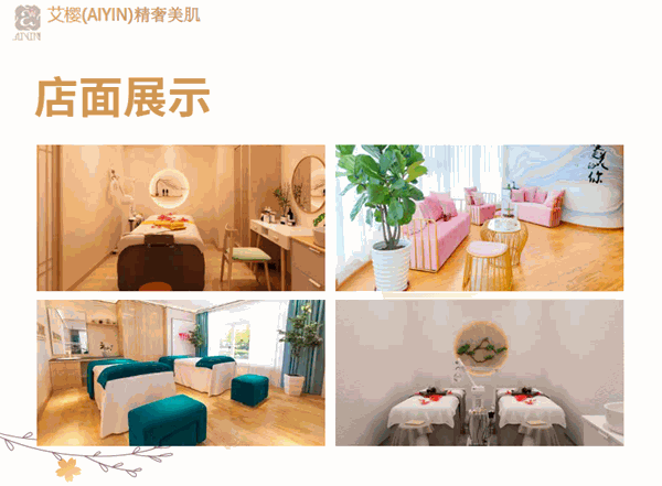 艾樱(AIYIN)精奢美肌加盟