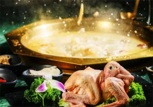 潮味星厨花胶鸡火锅加盟