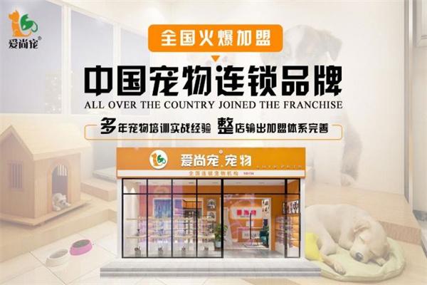 爱尚宠宠物店