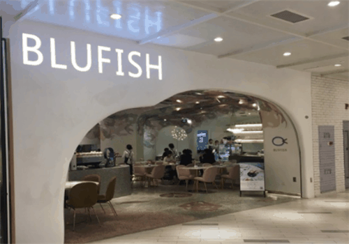 BLUFISH布鱼