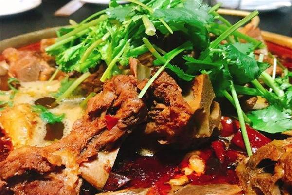 友乐居羊蝎子加盟