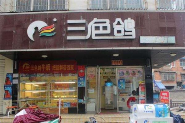 三色鸽