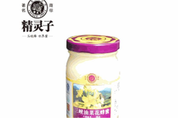 精灵子食品加盟
