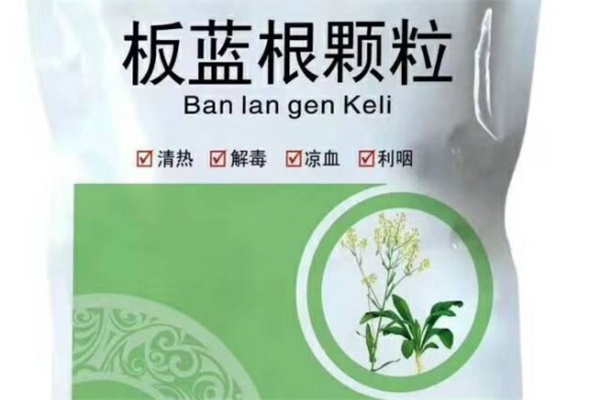 蓝根加盟