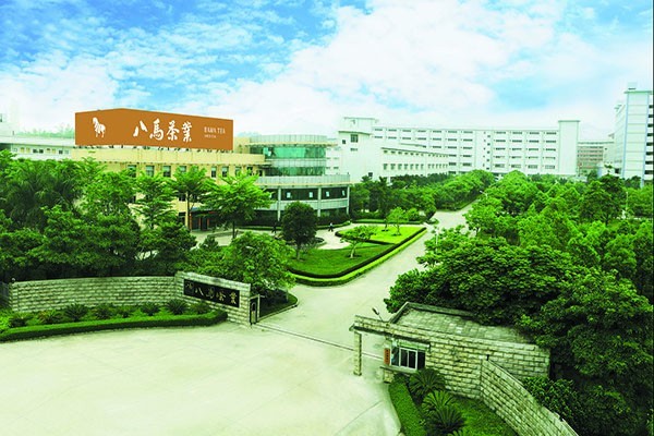 八马茶业店加盟