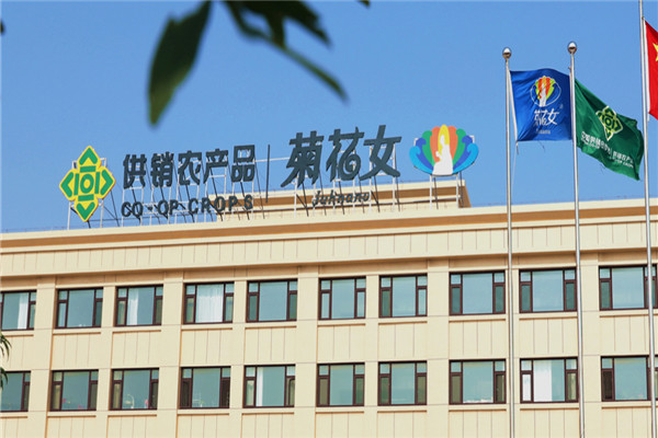 菊花女饺子加盟