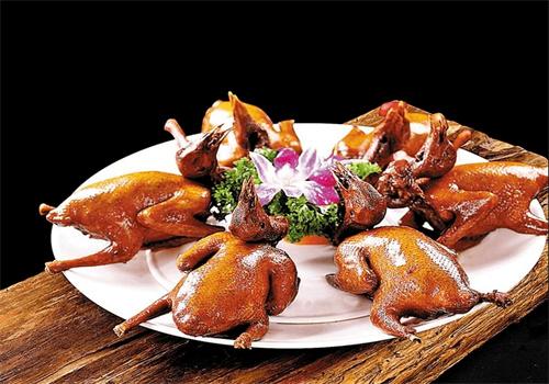 五谷光明乳鸽加盟
