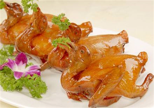 五谷光明乳鸽加盟