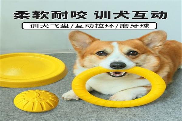 顽皮宠物用品加盟