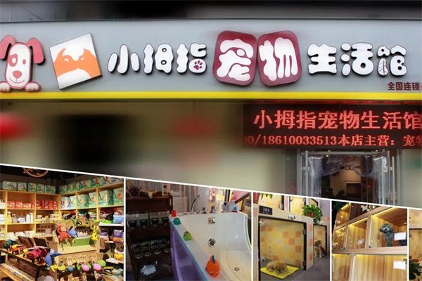 小拇指宠物生活馆加盟
