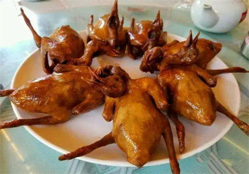 光明乳鸽加盟