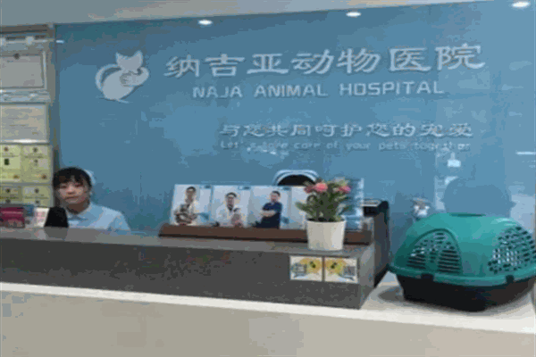 纳吉亚动物医院加盟