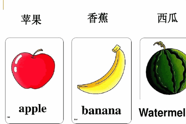 我爱学单词加盟