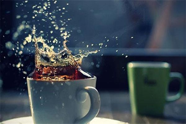 仙牌灵芝奶茶加盟