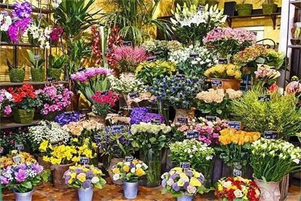 苏芳花卉加盟