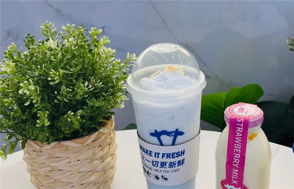 鲜博士奶茶加盟