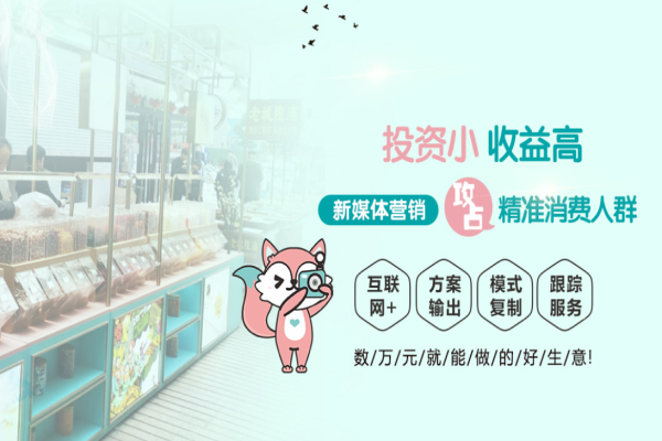 零小闲休闲零食加盟