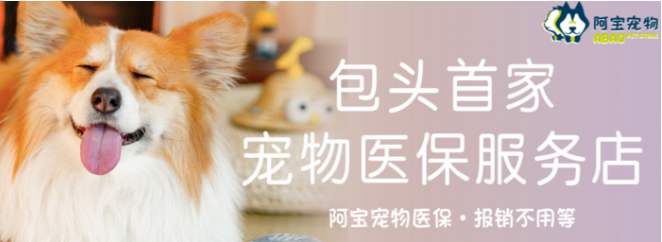 阿宝宠物加盟