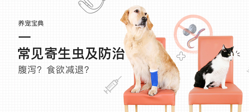 波奇宠物加盟