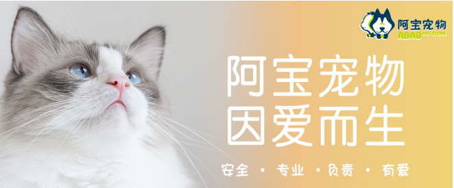 阿宝宠物加盟
