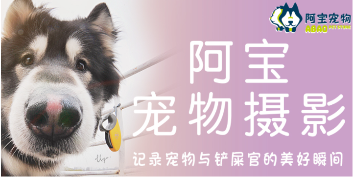 阿宝宠物加盟