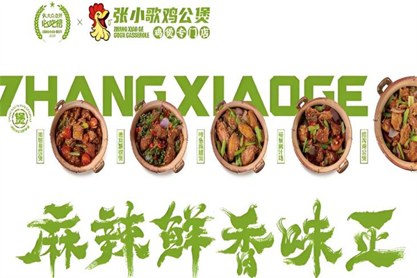 张小歌加盟