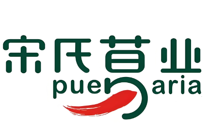 宋剑春葛根加盟
