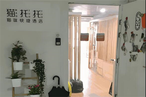 猫托托猫咪酒店加盟