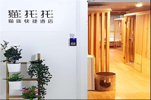 猫托托猫咪酒店加盟