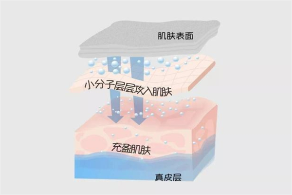 养希加盟