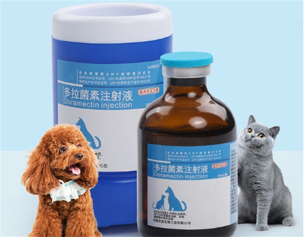 华畜兽药加盟