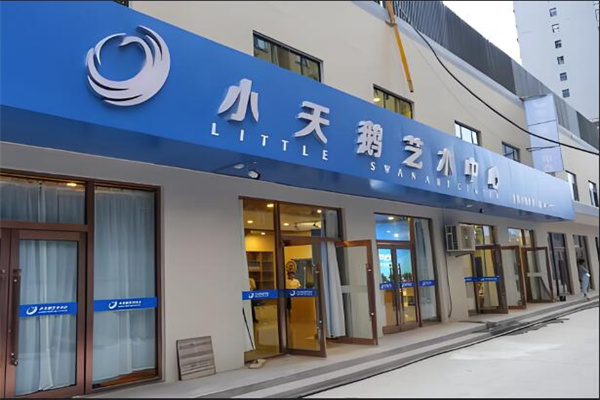 小天鹅艺术培训中心加盟