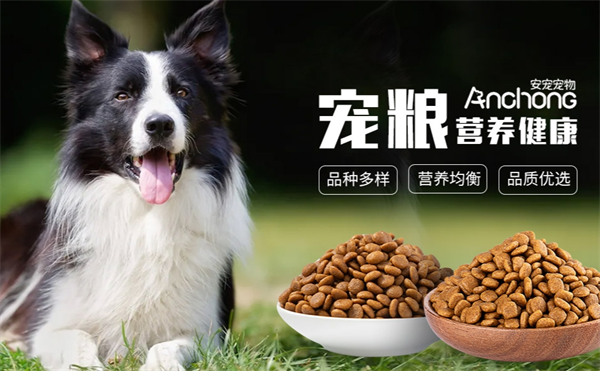 安宠宠物加盟