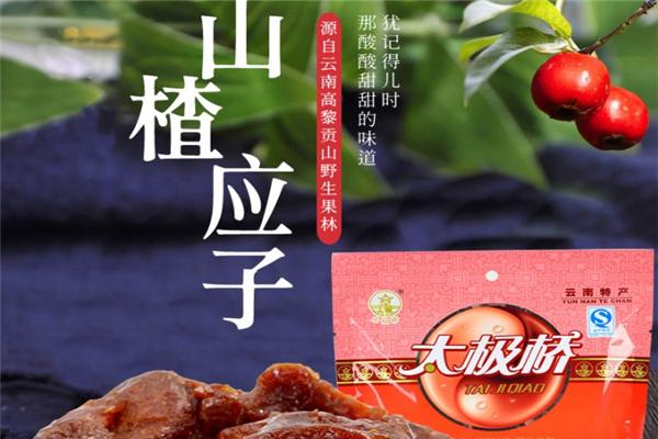太极桥果脯加盟