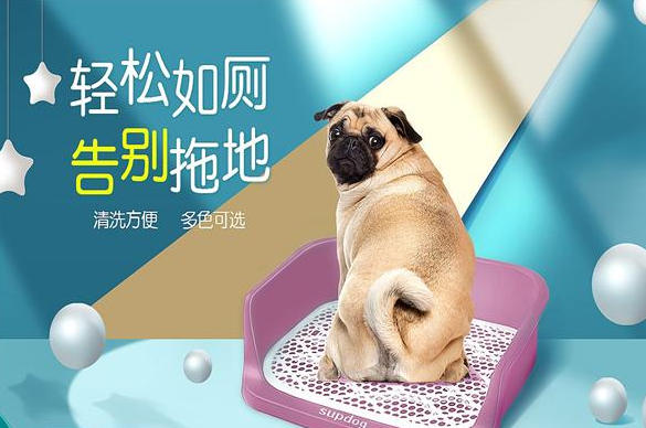 九易宠物加盟