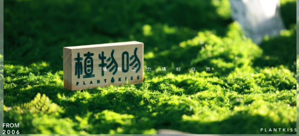 植物吻染发加盟