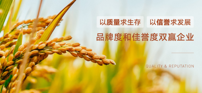 面包会飞加盟