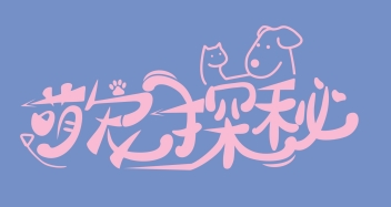 萌宠探秘加盟