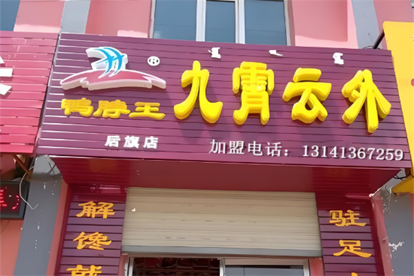 九霄云外鸭脖王卤味加盟