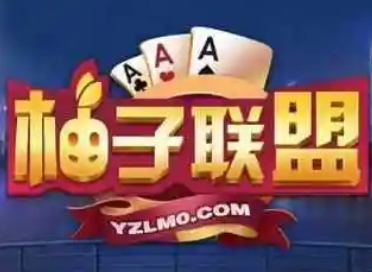 柚子联盟游戏加盟