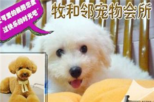 牧和邻加盟